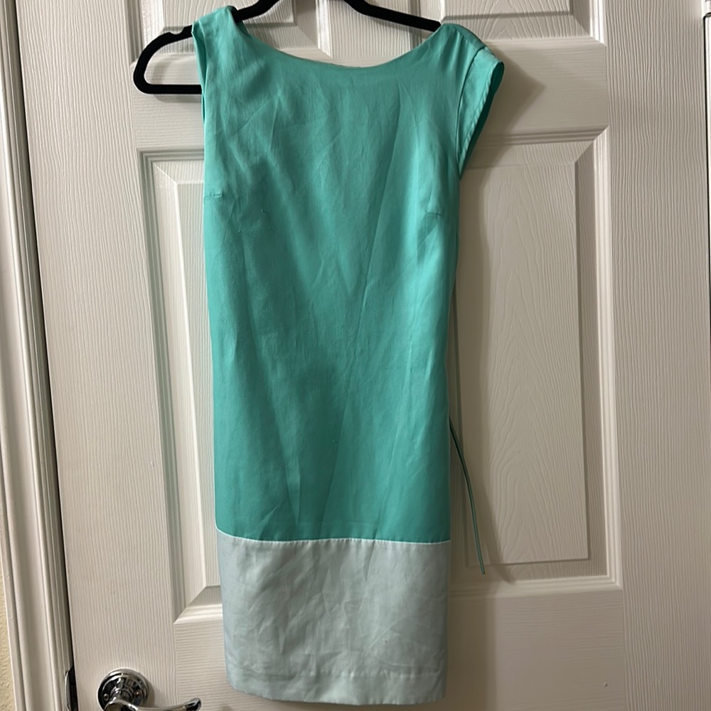 The Limited dress